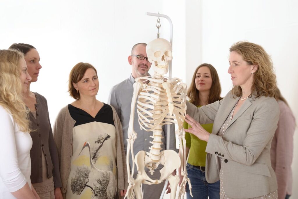 1774 1142 anatomie 1200x801